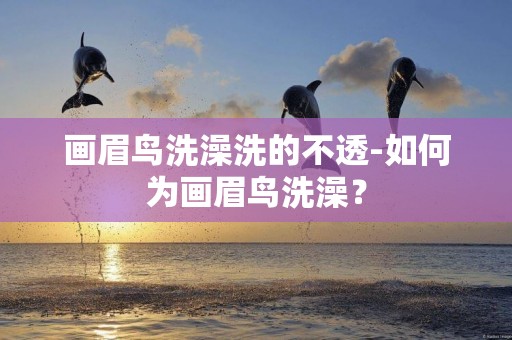 畫眉鳥洗澡洗的不透-如何為畫眉鳥洗澡？