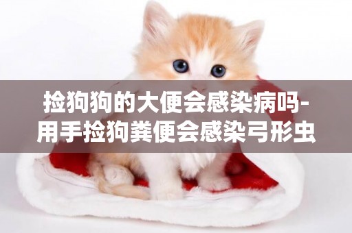 撿狗狗的大便會感染病嗎-用手撿狗糞便會感染弓形蟲嗎?