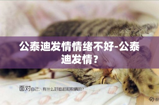 公泰迪發情情緒不好-公泰迪發情？