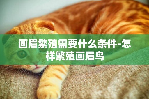 畫眉繁殖需要什么條件-怎樣繁殖畫眉鳥
