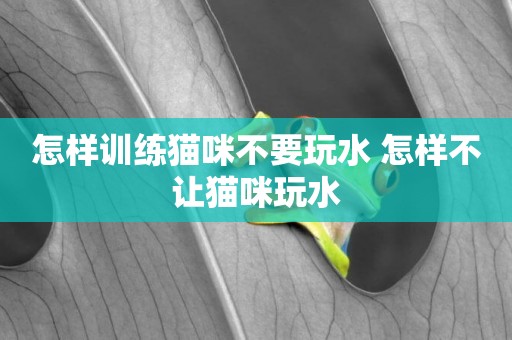 怎樣訓練貓咪不要玩水 怎樣不讓貓咪玩水