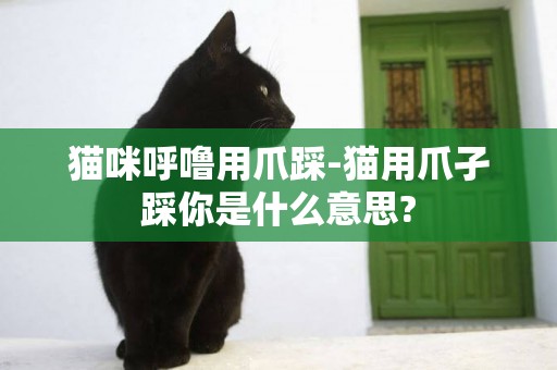 貓咪呼嚕用爪踩-貓用爪孑踩你是什么意思?
