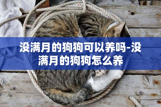沒滿月的狗狗可以養嗎-沒滿月的狗狗怎么養