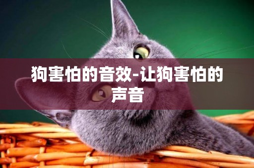狗害怕的音效-讓狗害怕的聲音