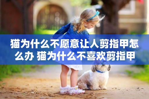 貓為什么不愿意讓人剪指甲怎么辦 貓為什么不喜歡剪指甲