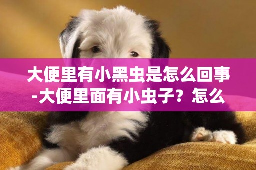 大便里有小黑蟲是怎么回事-大便里面有小蟲子？怎么回事？