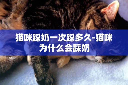 貓咪踩奶一次踩多久-貓咪為什么會踩奶