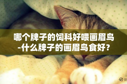 哪個牌子的飼科好喂畫眉鳥-什么牌子的畫眉鳥食好？