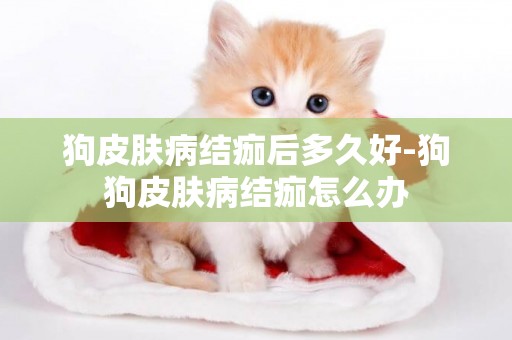 狗皮膚病結痂后多久好-狗狗皮膚病結痂怎么辦