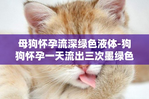 母狗懷孕流深綠色液體-狗狗懷孕一天流出三次墨綠色的液體怎么回事？