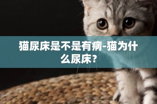 貓尿床是不是有病-貓為什么尿床？