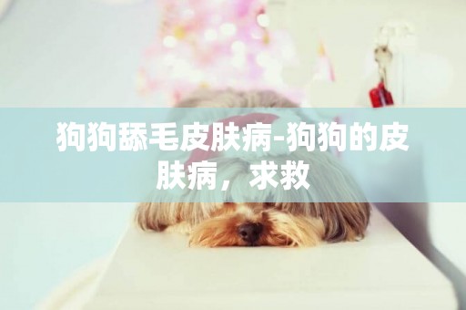 狗狗舔毛皮膚病-狗狗的皮膚病，求救