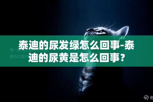 泰迪的尿發綠怎么回事-泰迪的尿黃是怎么回事？