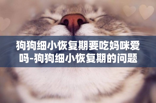 狗狗細小恢復期要吃媽咪愛嗎-狗狗細小恢復期的問題