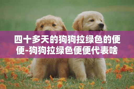 四十多天的狗狗拉綠色的便便-狗狗拉綠色便便代表啥