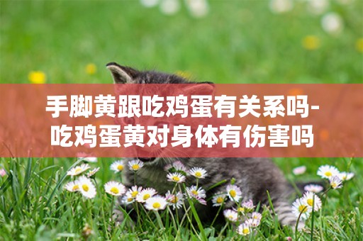手腳黃跟吃雞蛋有關系嗎-吃雞蛋黃對身體有傷害嗎