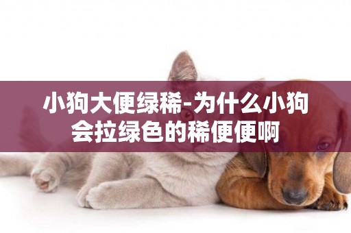 小狗大便綠稀-為什么小狗會拉綠色的稀便便啊