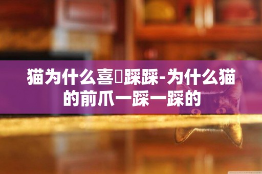 貓為什么喜歡踩踩-為什么貓的前爪一踩一踩的