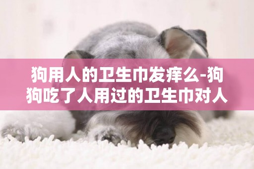 狗用人的衛生巾發癢么-狗狗吃了人用過的衛生巾對人好不好