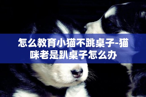 怎么教育小貓不跳桌子-貓咪老是趴桌子怎么辦