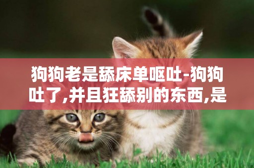 狗狗老是舔床單嘔吐-狗狗吐了,并且狂舔別的東西,是怎么回事