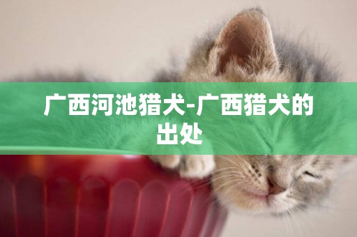 廣西河池獵犬-廣西獵犬的出處