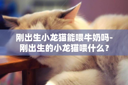 剛出生小龍貓能喂牛奶嗎-剛出生的小龍貓喂什么？