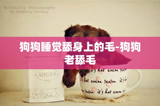 狗狗睡覺舔身上的毛-狗狗老舔毛