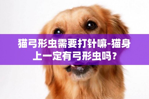 貓弓形蟲需要打針嘛-貓身上一定有弓形蟲嗎？