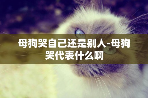 母狗哭自己還是別人-母狗哭代表什么啊