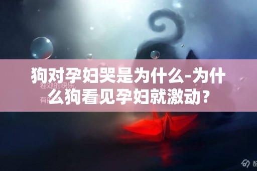 狗對孕婦哭是為什么-為什么狗看見孕婦就激動？