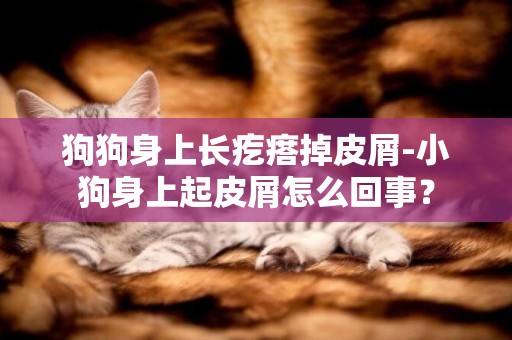 狗狗身上長疙瘩掉皮屑-小狗身上起皮屑怎么回事？