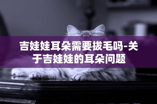 吉娃娃耳朵需要拔毛嗎-關于吉娃娃的耳朵問題