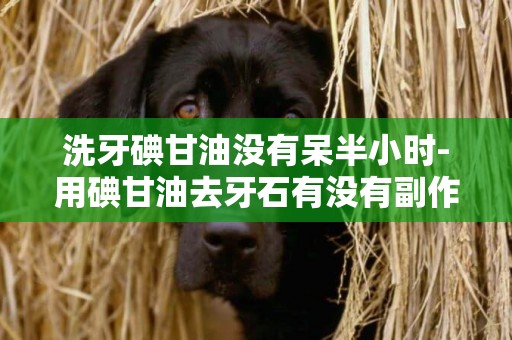 洗牙碘甘油沒有呆半小時-用碘甘油去牙石有沒有副作用？