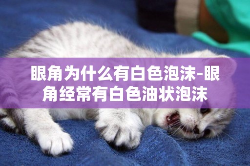 眼角為什么有白色泡沫-眼角經常有白色油狀泡沫
