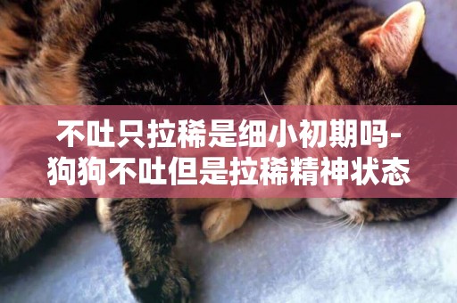 不吐只拉稀是細小初期嗎-狗狗不吐但是拉稀精神狀態好是細小嗎？