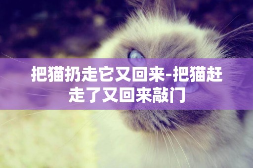 把貓扔走它又回來-把貓趕走了又回來敲門