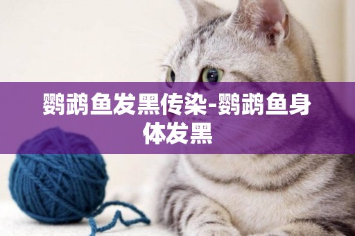 鸚鵡魚發黑傳染-鸚鵡魚身體發黑