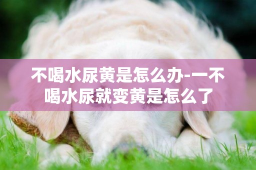 不喝水尿黃是怎么辦-一不喝水尿就變黃是怎么了