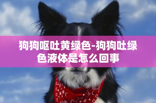 狗狗嘔吐黃綠色-狗狗吐綠色液體是怎么回事