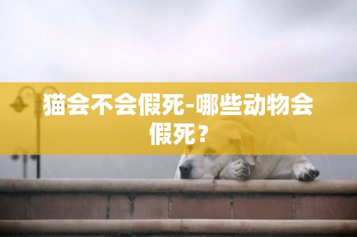 貓會不會假死-哪些動物會假死？
