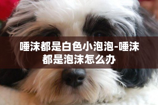 唾沫都是白色小泡泡-唾沫都是泡沫怎么辦