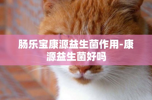 腸樂寶康源益生菌作用-康源益生菌好嗎