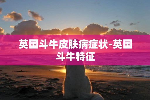 英國斗牛皮膚病癥狀-英國斗牛特征