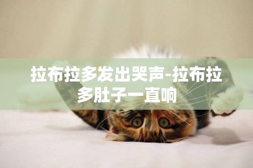拉布拉多發出哭聲-拉布拉多肚子一直響