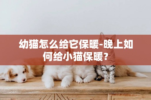 幼貓怎么給它保暖-晚上如何給小貓保暖？