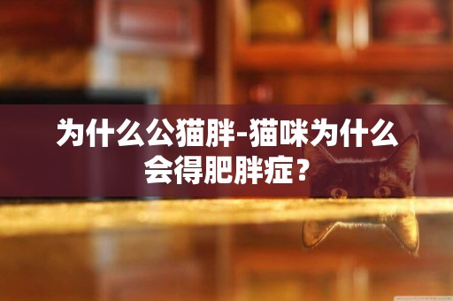 為什么公貓胖-貓咪為什么會得肥胖癥？