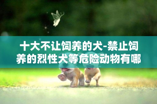 十大不讓飼養的犬-禁止飼養的烈性犬等危險動物有哪些