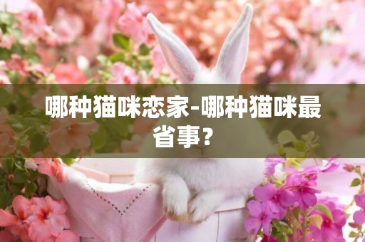 哪種貓咪戀家-哪種貓咪最省事？