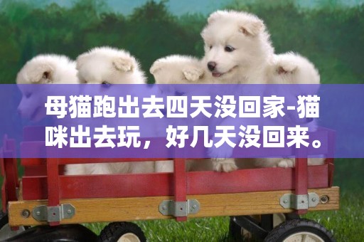 母貓跑出去四天沒回家-貓咪出去玩，好幾天沒回來。。。